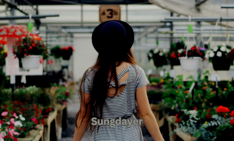 sungdayer
