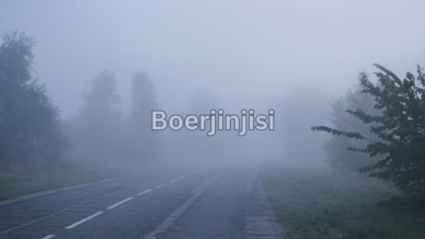 boerjinjisi